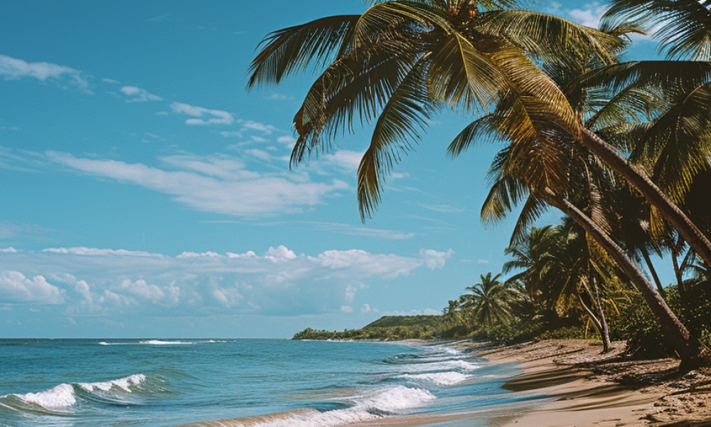 tranquilandia_playa
